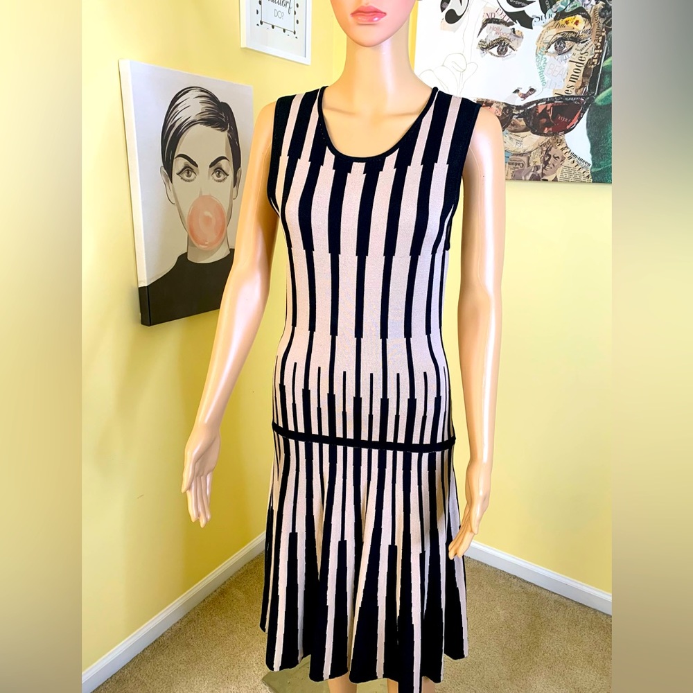 BEIGE by ECI Knit Fit & Flare Dress in Tan/Black, Size Medium